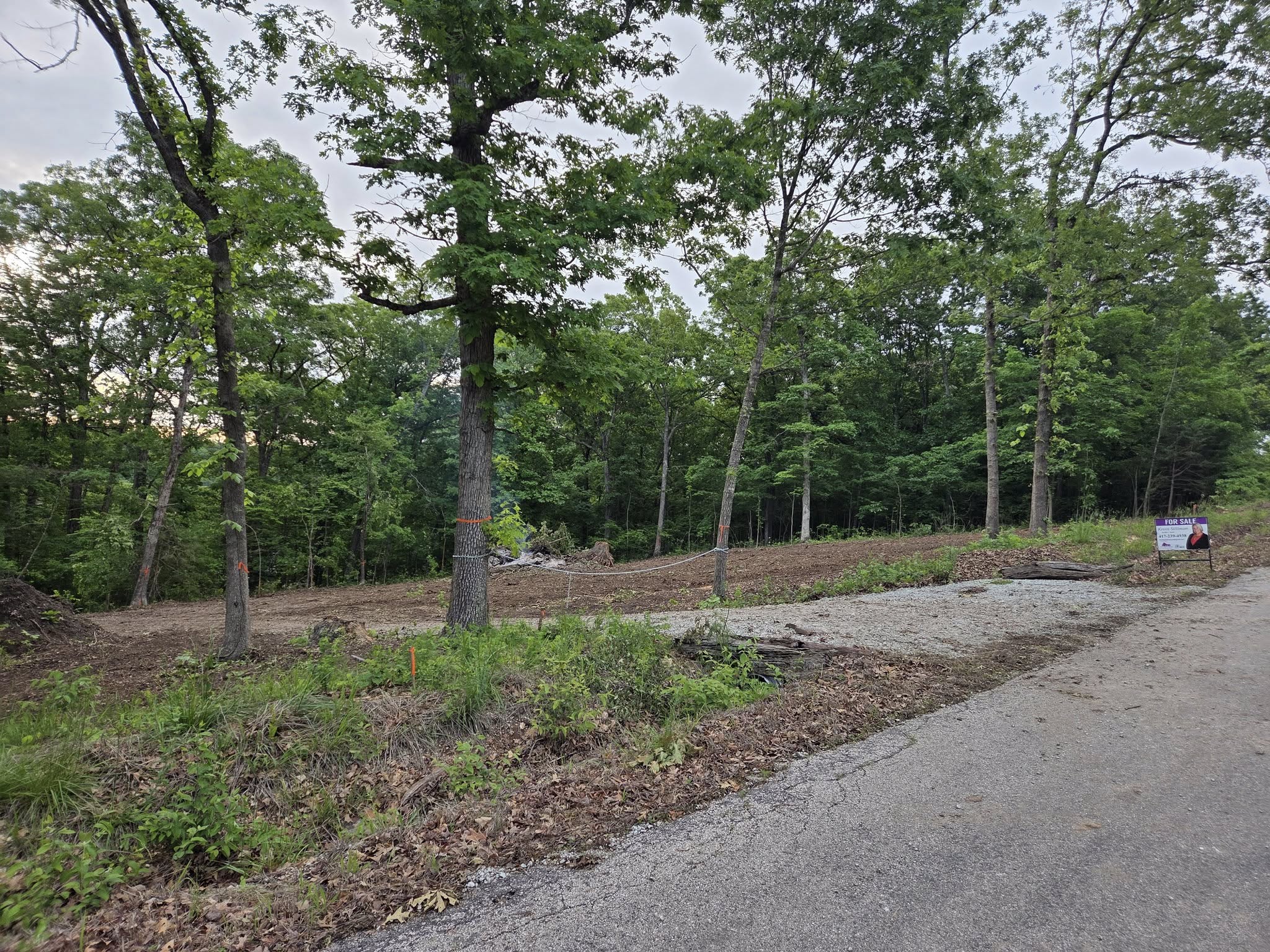 a new driveway into a wooded area