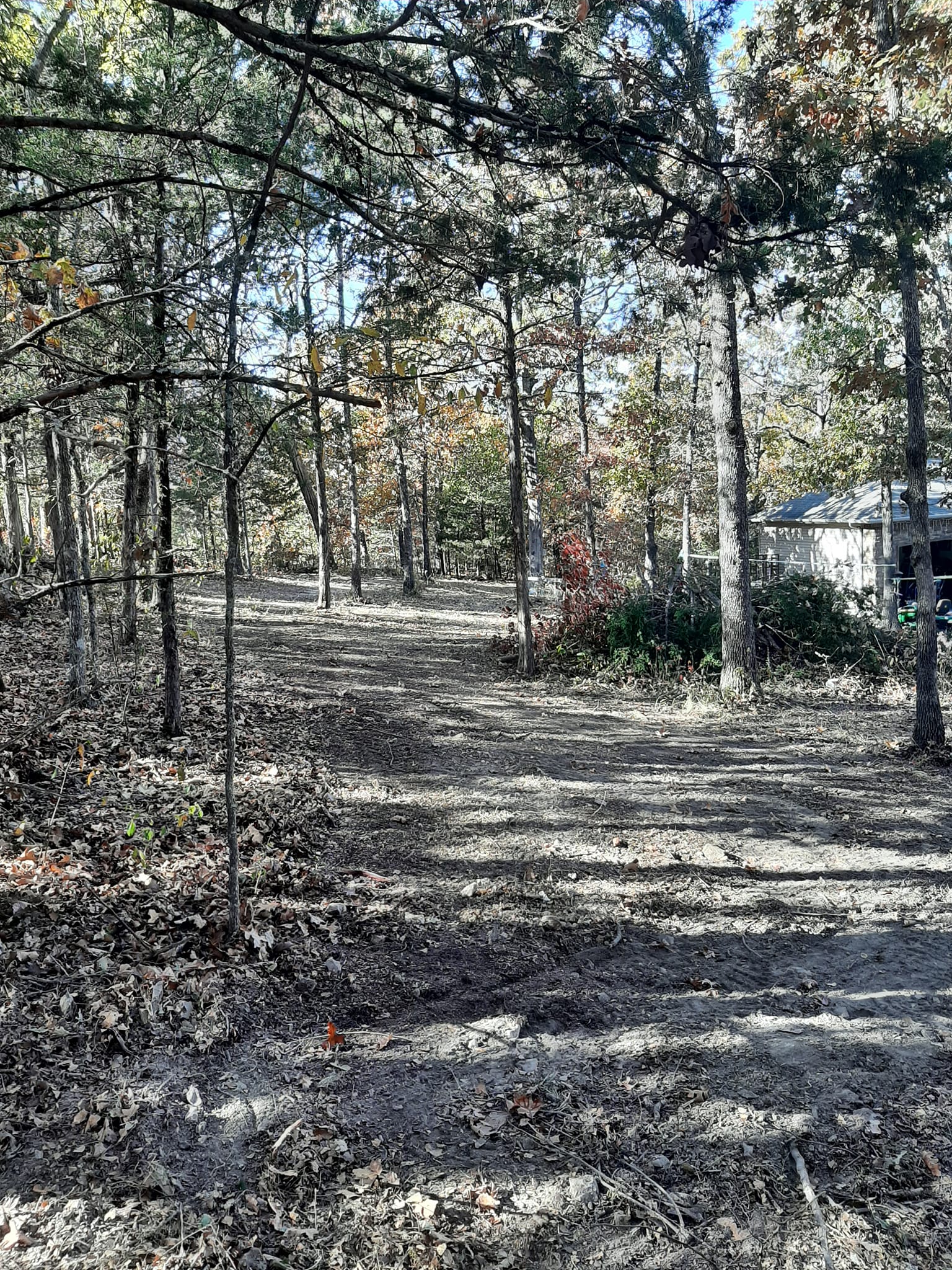 a new driveway into a wooded area