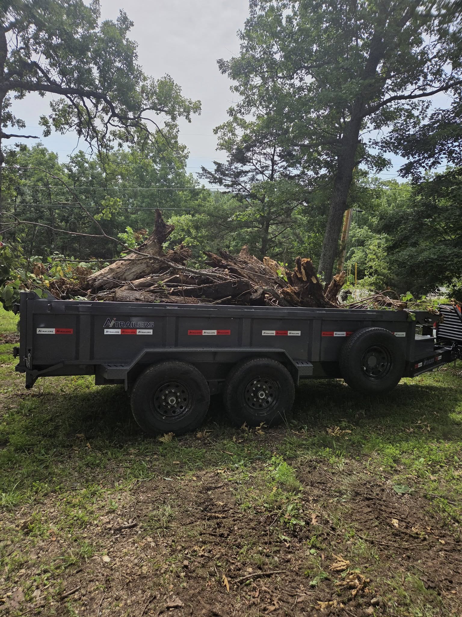 junk removal before and after