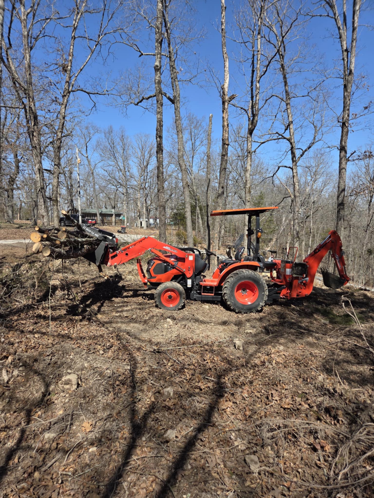 trunks of several trees being carried away by an excavator