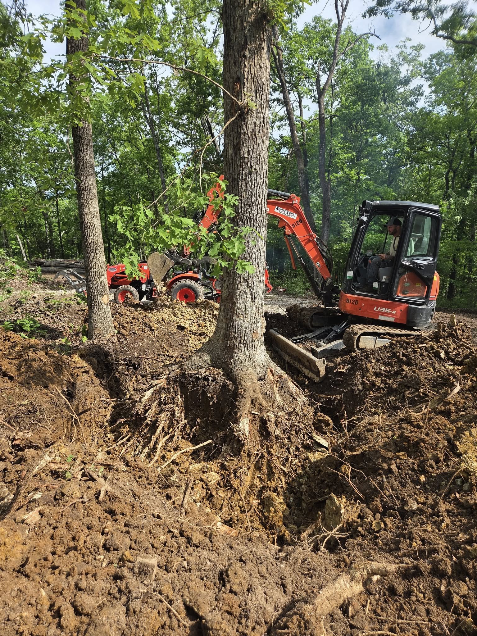 a tree being removed by an excavator